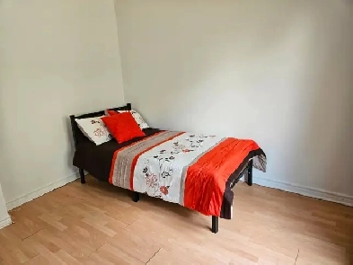 Private Room for Rent Image# 1