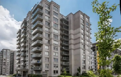 Large 4 1/2 Apartment Image# 3