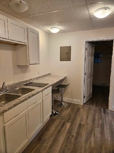 1 Bedroom Apartment Available Downtown on 1st floor Image# 3
