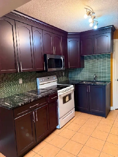 Walkout Basement for rent in NE Calgary Image# 1