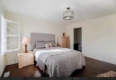 Rooms available for Rent Image# 1