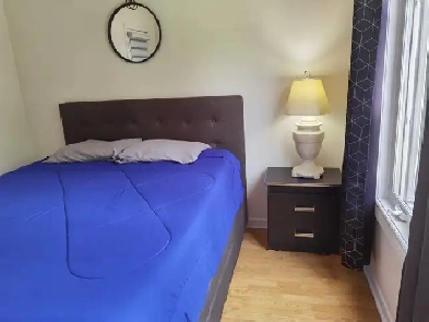 Bright Furnished Front Bedroom For Rent Image# 1