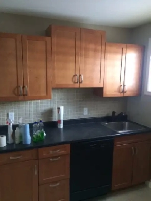 Bright and Cozy 2 Bedroom Lower Level Apartment Image# 9