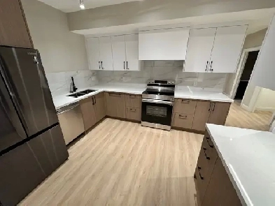 Basement Furnished Rooms for Rent - New Custom Modern House Image# 1