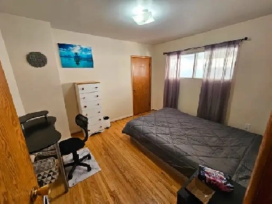 Large room for rent Image# 1