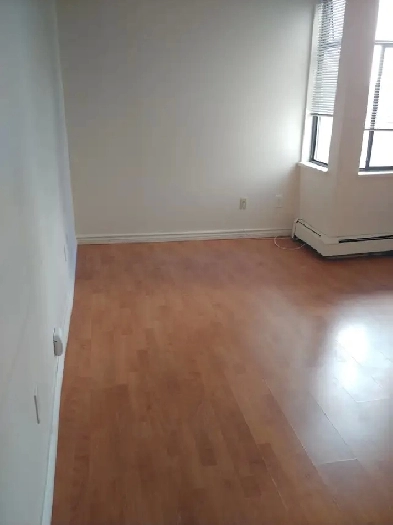 Bachelor suite,  available now Image# 1