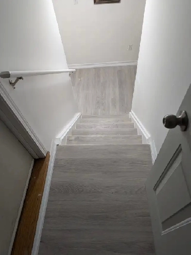 2 bedroom basement available for rent near Heartland Mississauga Image# 1