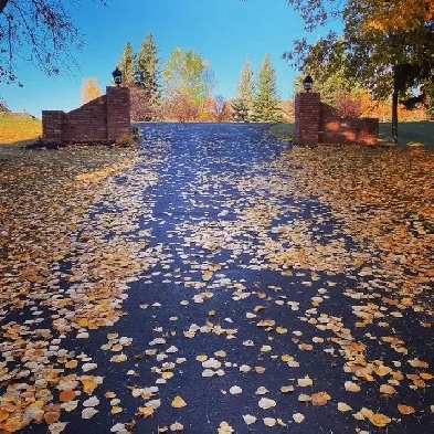 2,000 sq. ft. x 2-bedroom apartment suite,Walk-out N.W. CALGARY Image# 1