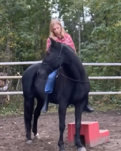 ISO - 1 bedroom rental for Oct 15, West Edmonton Image# 1