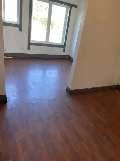 All utilities included / one of my 2 bedrooms for rent Image# 9