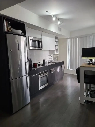 Luxury Furnished 1 BD Condo Downtown Toronto Image# 5