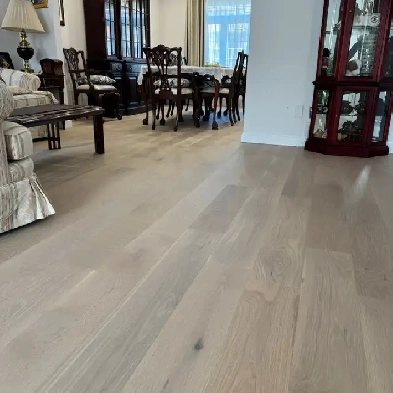 logement à louer Image# 1