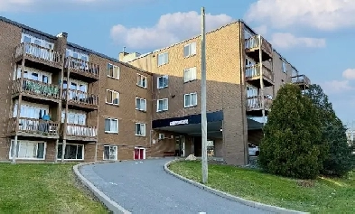 Primrose Street - 2 Bedroom 1 Bath Apartment for Rent Image# 3