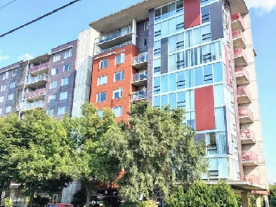 MODERN STUDIO CONDO! UTILITY, LAUNDRY, WIFI ALL-INCLUDED! NOW! Image# 1