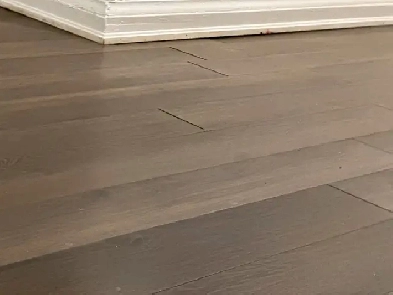 Available one bedroom apartment in south Etobicoke Image# 1