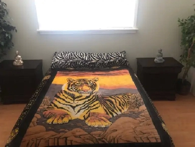 Kelowna Room for Rent 900 everything included