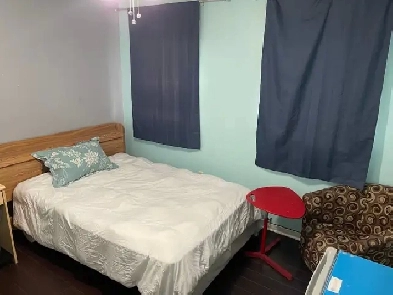 quiet and clean room for male now, Mississauga near Sq. One Image# 1