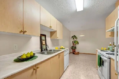 2 Bed x 1 Bath Apartment for Rent on Rollyview Road | $1485.00 Image# 1