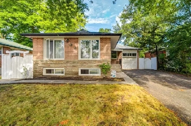 Basement for Rent Image# 1