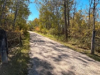 Beautiful treed 10 acres,close to Steinbach Image# 11