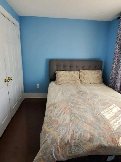 Brampton, for  female ,furnish private room , basement Image# 1