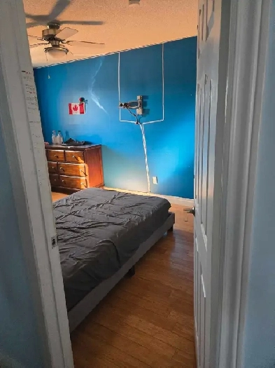 room for rent Image# 1