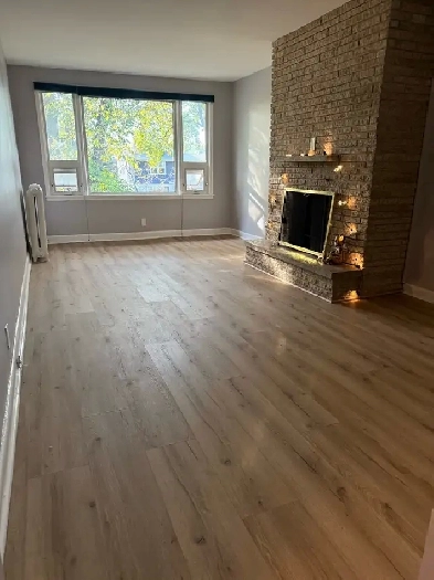 Newly renovated house for rent in river heights Image# 10