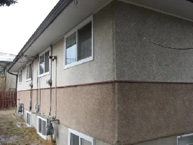 2 Bedroom lower suite in Collinwood area Image# 1