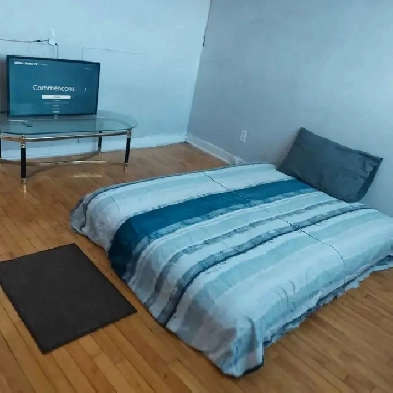 Chambre à louer et colocs Image# 1