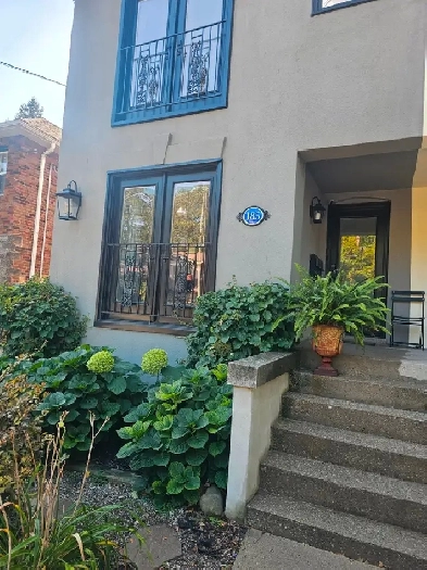 One bedroom ground floor apartment for rent for November 1st Image# 1