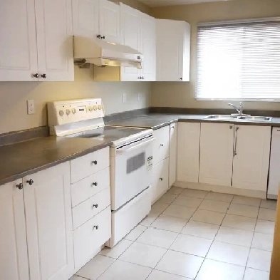 Gorgeous 3 BR MnFlr-INCLUDES DOUBLE GARAGE-New flrs/wndws-Pet OK Image# 8