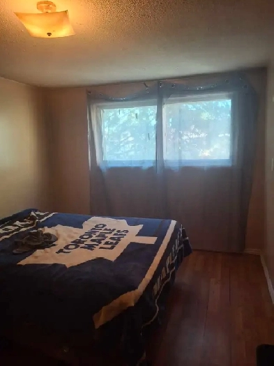 Room and Basement for Rent Image# 6