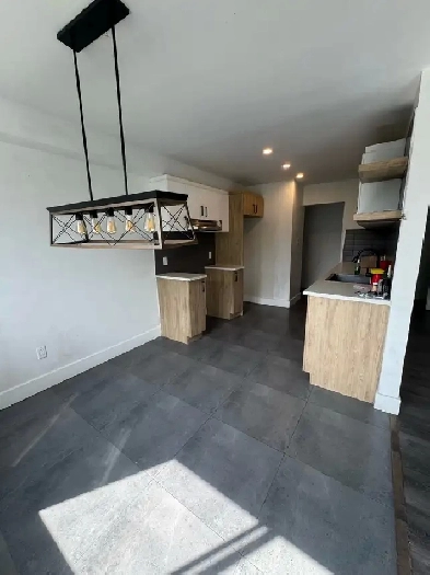 logement à louer Image# 7