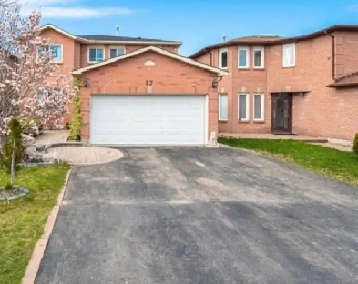 2 Beds / 2 Parkings Basement Image# 1
