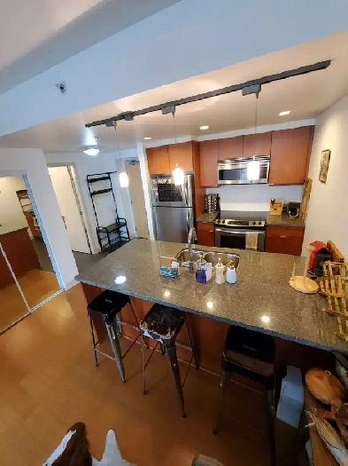 FURNISHED 1 BED/ 1 BATH APT in heart of Downtown Victoria Image# 9