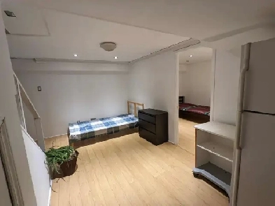 1 Bedroom   Living Room   Kitchen Basement for rent Image# 1