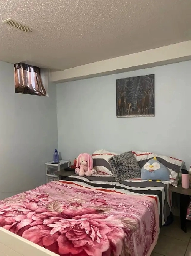 Spacious basement room near sheridan college Image# 1