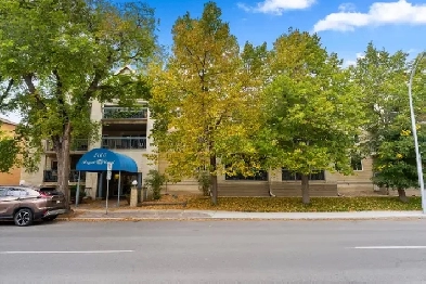 UPDATED 2 BED, 2 BATH, TOP FLOOR DOWNTOWN CONDO! Image# 8