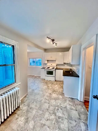 2 bed 1 bath, balcony, parking in New Edinburgh/Beechwood area Image# 7