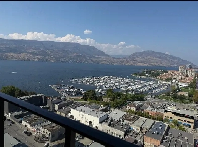 2 Bed 2 Bath Luxury Condo Image# 3