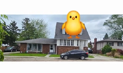 2 bedroom $1150 plus only hydro Image# 2