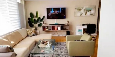 one bedroom furnished apartment Nov 3 - Jan 3 Image# 7