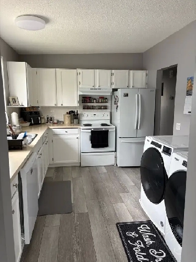 2 Bed, 1 Bath main floor Rental Nov 1st Image# 4