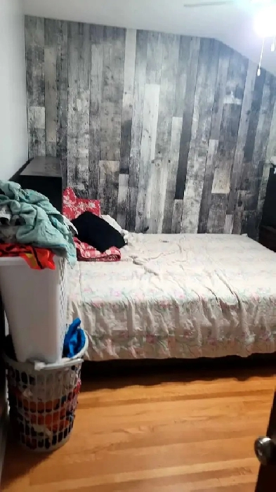 single room to rent in brampton Image# 1
