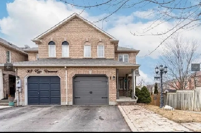 Beautiful walkout basement apartment in a desired neighbourhood. Image# 5