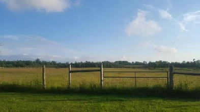 Outdoor storage/parking available$70 Image# 1