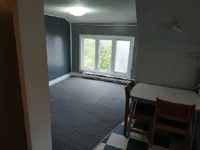 One Bedroom apartment Corner Brook, NL Image# 10