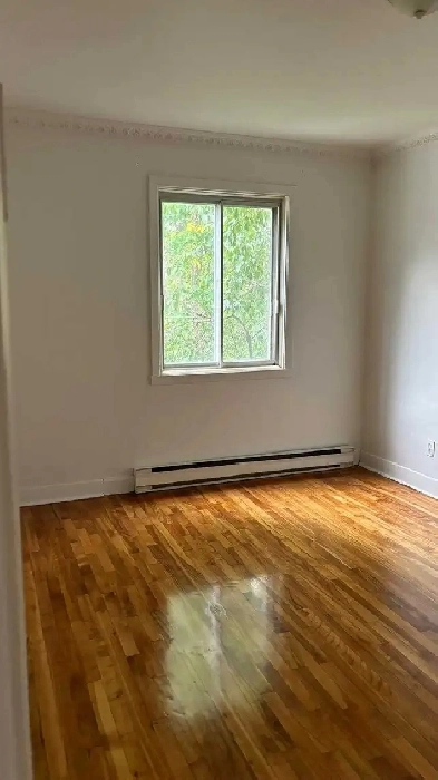 2 1/2 for rent Image# 1