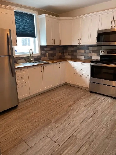 Spacious one bedroom apartment for rent Image# 7