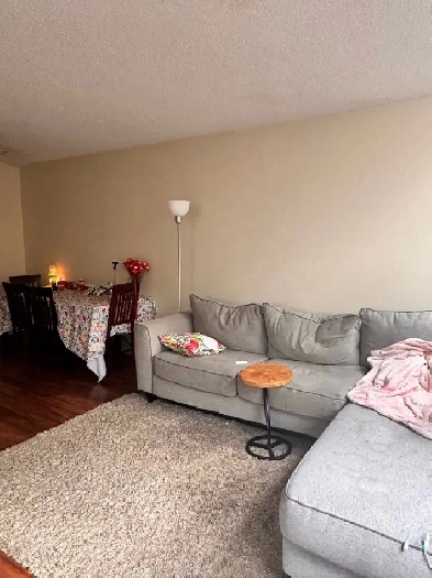 LOOKING FOR A ROOMMATE Image# 4